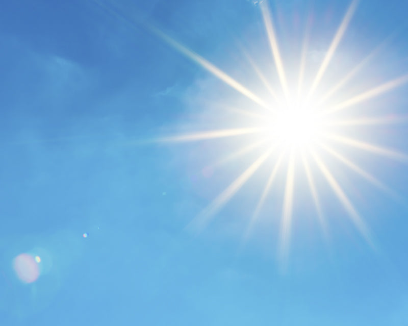 UK weather hits record temperatures - is your garden ready?