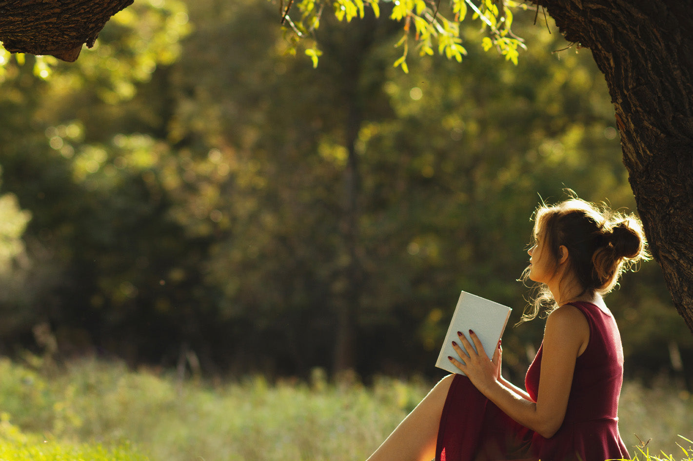Woman in red dress reading book outdoors under tree in lush green garden setting